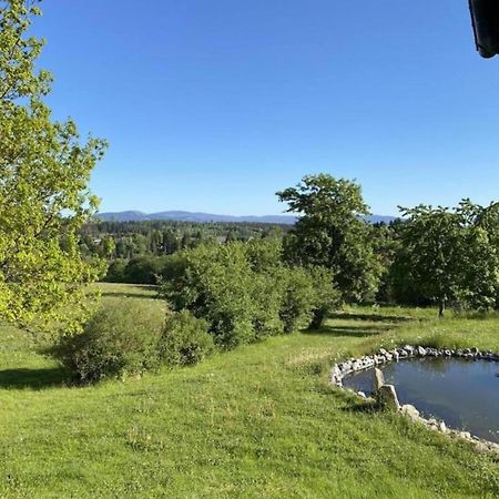 Cozy Apartment In Braunlage Near Forest Hohegeiß Εξωτερικό φωτογραφία