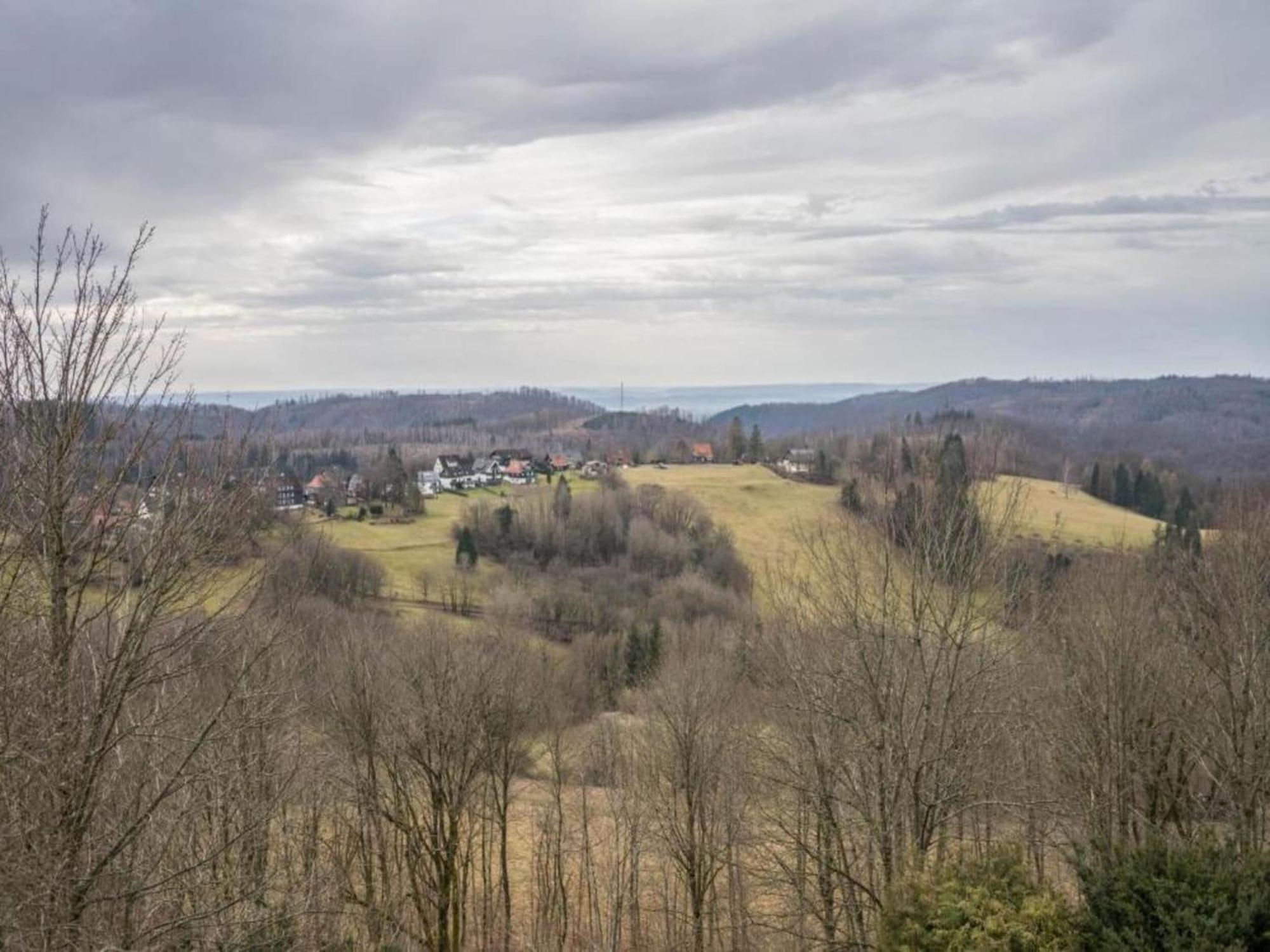 Cozy Apartment In Braunlage Near Forest Hohegeiß Εξωτερικό φωτογραφία