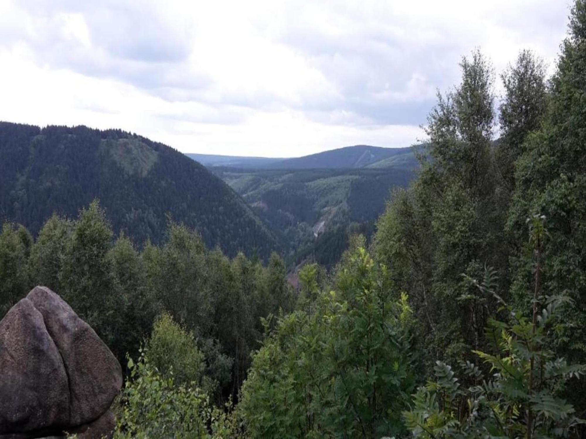 Cozy Apartment In Braunlage Near Forest Hohegeiß Εξωτερικό φωτογραφία