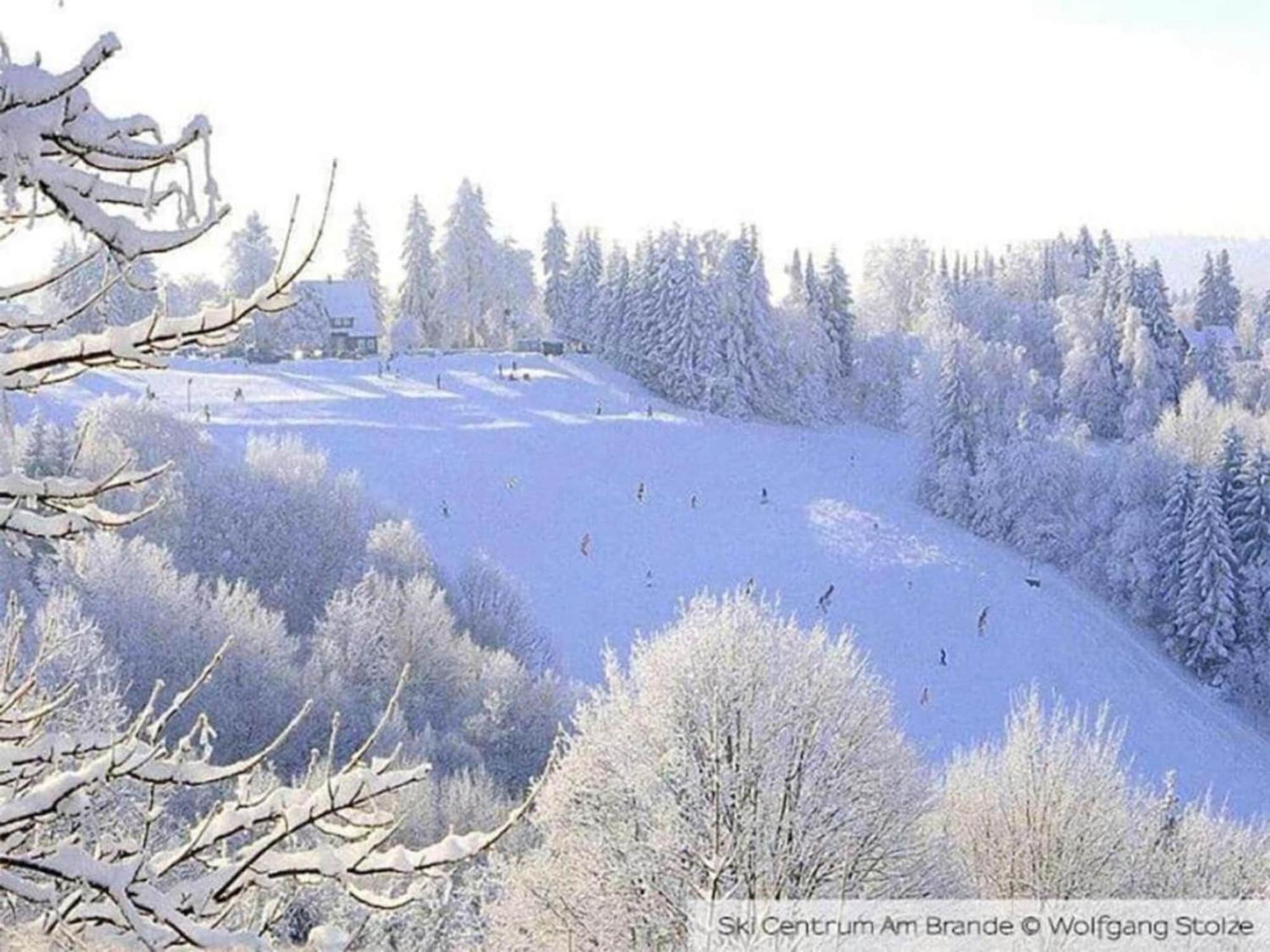 Cozy Apartment In Braunlage Near Forest Hohegeiß Εξωτερικό φωτογραφία