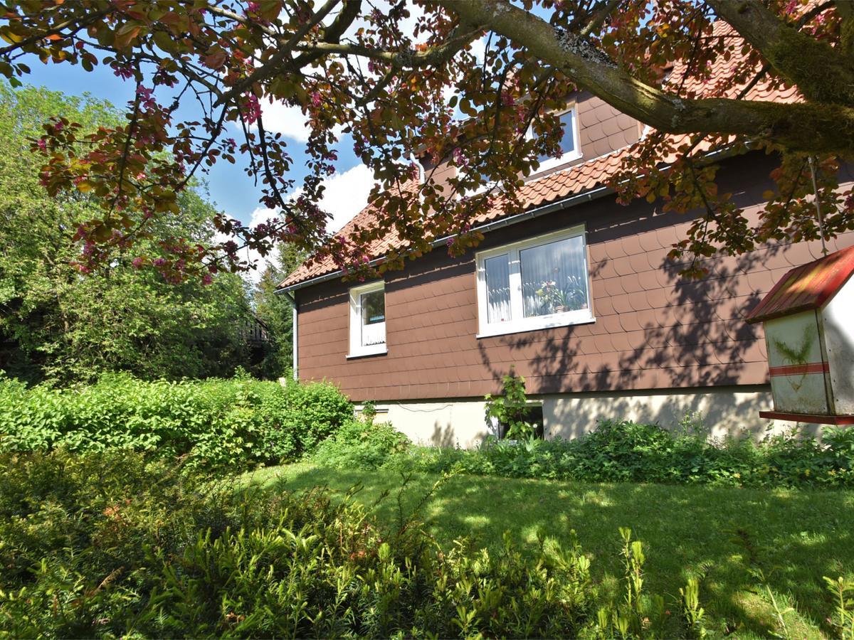 Cozy Apartment In Braunlage Near Forest Hohegeiß Εξωτερικό φωτογραφία